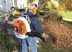 Image result for Leaf Blower and Vacuum