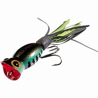 Image result for Popper Lure