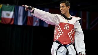 Image result for Taekwondo Olympics