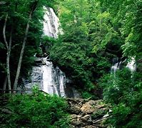 Image result for Georgia Nature