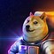 Image result for Doge Fan Art