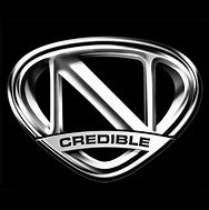 Image result for NCredible Entertainment Logo