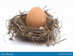 Image result for Farst Is Hen and Egg