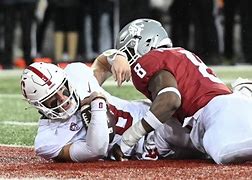 Image result for Wazzu Cougs