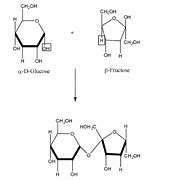 Image result for sucrose structure