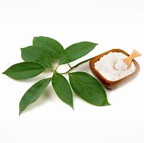 Image result for Camphor