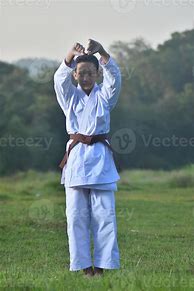 Image result for Karate Fighting Pose