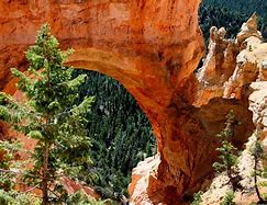 Image result for Bryce Canyon Arch