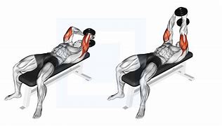 Image result for Lying Dumbbell Press