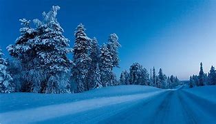 Image result for Blue Winter Cape