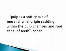 Image result for Pulp Anatomy