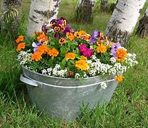 Image result for Flower Bucket Pot