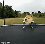 Image result for Banner Dog Meme GIF