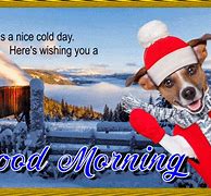 Image result for Funny Cold Morning Pics