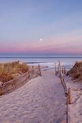 Image result for Cape Cod Beach