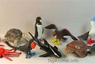 Image result for Safari LTD Galapagos Toob