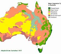 Image result for Landforms and Vegetation of Australia