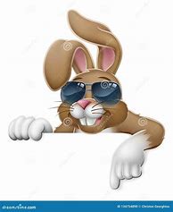 Image result for Cool Rabbit Artwork