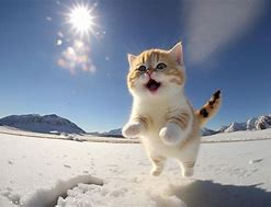 Image result for Snow On Cat Stunning