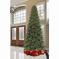 Image result for 12 Foot Christmas Tree