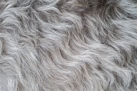 Image result for Dog Eared Paper Texture