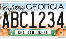 Image result for GA License Plate Drawing