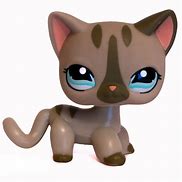 Image result for Littlest Pet Shop White Cat