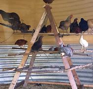 Image result for Cinder Block Chicken Roost