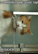 Image result for Icicles Funny