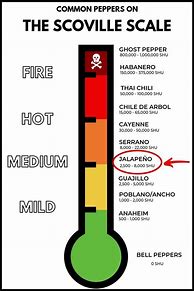 Image result for Scala Scoville