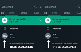 Image result for What Is Whats App Beta