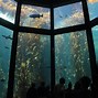 Image result for Morro Bay Aquarium