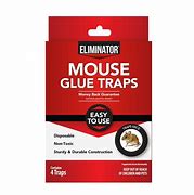 Image result for Glue Mouse Traps That Work