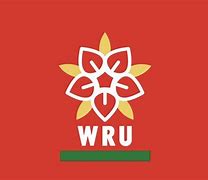 Image result for Welsh Rugby Union Logo