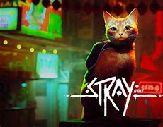 Image result for Stray Game Case