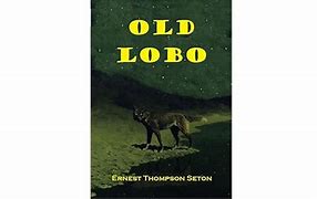 Image result for Old Lobo