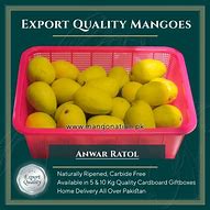 Image result for Mango 5