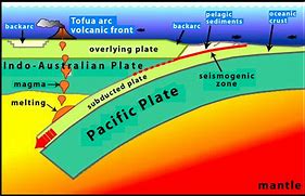 Image result for The Bottom of the Mariana Trench