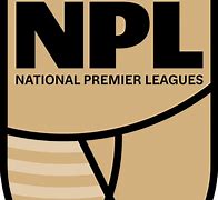 Image result for NPL Footballs