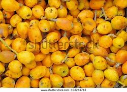 Image result for Tunisian Fruit