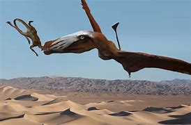 Image result for Biggest Flying Dinosaur