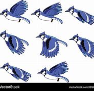 Image result for 2D Blue Jay Sprite