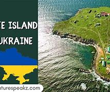 Image result for Snake Island Ukraine