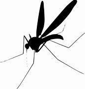 Image result for PNG Mosquito Bed