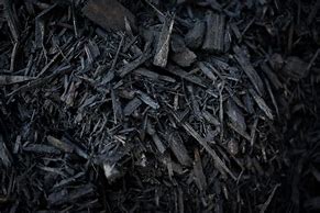 Image result for Black Bark Mulch