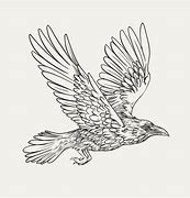 Image result for Raven Flying Drawing