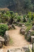 Image result for Dirt Path Garden