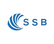 Image result for SSB Battery Logo