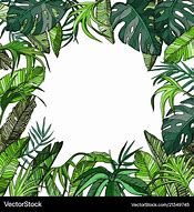 Image result for Tropical Leaves Background Logo