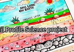 Image result for Soil Layers Drawing